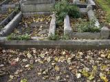 image of grave number 198836